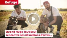 30 millions d'amis refuge de la Tuilerie